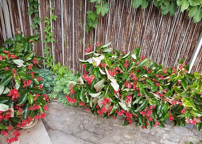 Apartman Slava Primosten